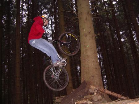 J'aime les arbres.