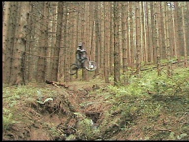 Saut d'arrivée !!!!